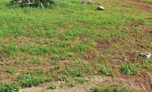 5bcb2f29-ff72-4fd0-9e1f-1a03178ef0c1