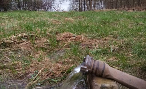 WhatsApp Image 2022-05-14 at 19